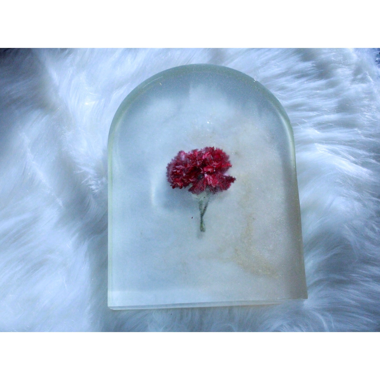 Resin arch w/ real flower